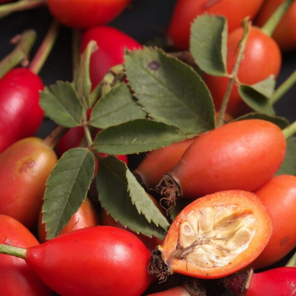 Tisane Éclat d’Amel